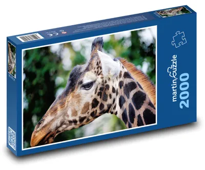 Obrázek produktu pro martinpuzzle - Puzzle 2000 - Žirafa