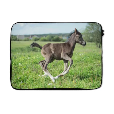 Produktbild von MuchoWow® Laptop Hülle 14 ZollPferd - Blumen - Gras Laptoptasche - Laptoptasche - Stoßsicher - Schutzhaube