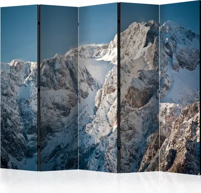 Produktbild von 5-teiliger Einseitiger Vlies Paravent - Winter in the Alps II 225x172 cm Landschaften c-C-0338-z-c