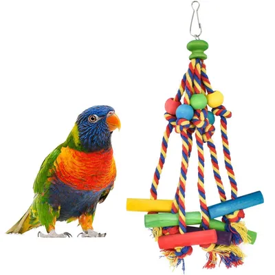 Produktbild von Papagei Vogel Kauspielzeug Mehrfarbig Naturholz Baumwollseil 30cm für Kleine & Mittelgroße Vögel