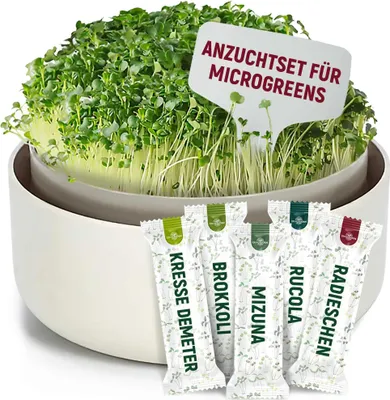 Produktbild von OraGarden Anzuchtset Elfenbein inkl. 5 Sorten Microgreens