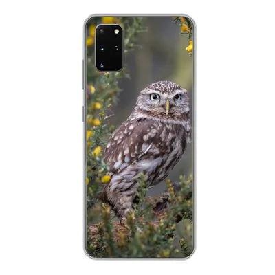 Produktbild von MuchoWow® Handyhülle Schutzhülle Hülle für Samsung Galaxy S20 Plus Eine kleine braune Eule sitzt da und starrt nach vorne Silikon Softcase Handy Hülle - Hartschale