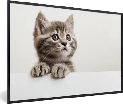 Produktbild von MuchoWow® Gerahmtes Poster Katze - Grau - Tiere 90x60 cm - Poster mit Schwarzem Bilderrahmen Wandposter Rahmen Foto Bilder - Fotorahmen - Foto-Plakat