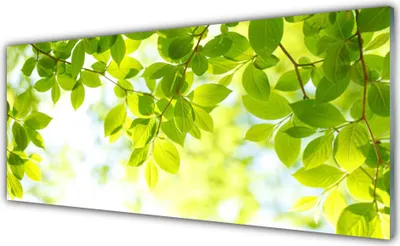 Produktbild von Glasbilder 125x50 Wandbild Druck auf Glas Blätter Natur