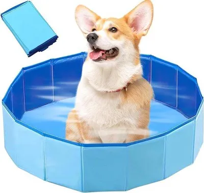 Productafbeelding van Klein hondenbadje - Blauw - Opklapbaar en draagbaar - Antislip - Geschikt voor kleine honden en katten