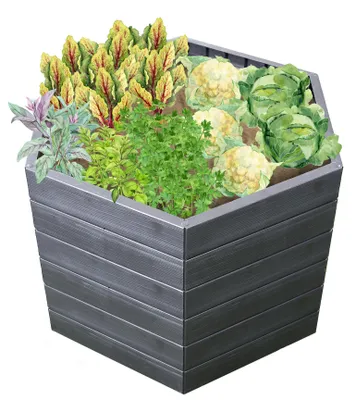 Immagine prodotto di GARANTIA ERGO letto rialzato L 75 Wood, incl. sistema di risparmio idrico FLORA