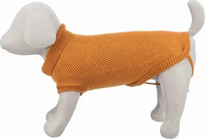 Immagine prodotto di Maglia per il cane Trixie Orange S