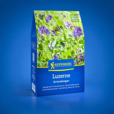 Produktbild von Kiepenkerl Gründüngung Luzerne Medicago sativa für 100 m² 0,4 kg