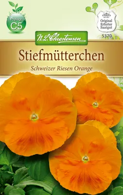 Artikelbild 1 von '[STREICHUNG 2026] Stiefmütterchen Schweizer Riesen'
