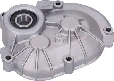 Produktbild von Getriebedeckel Piaggio für 50 ccm 2T, 4354216