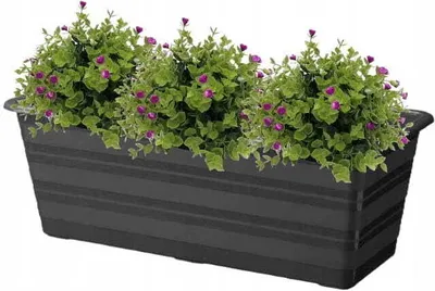 Produktbild von Graphit Balkonkasten 60cm Kunststoff