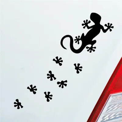 Produktbild von Auto Aufkleber Salamander Agame Echse Lizard Fußspuren 20x6 cm Schwarz Matt Sticker Heckscheibenaufkleber