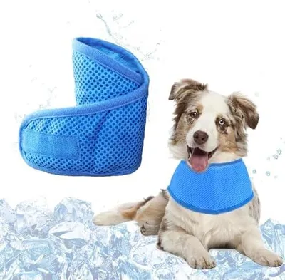Produktbild von Kühltuch Hund Halstuch Kühlend, Kühlhalsband für Hunde, Halstuch Hund, Hundehalstuch im Sommer, Atmungsaktiv Kühlung Hundehalstuch für Ausruhen, Schlafen, Sommerspaziergang Spielen, M, Blau