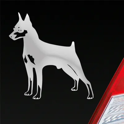Produktbild von Auto Aufkleber Zwergpinscher Hund Dog Animal 10x10 cm Silber Sticker Heckscheibenaufkleber