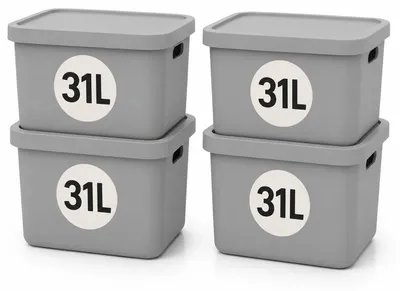 Produktbild von Plastard Aufbewahrungsbox mit Deckel 4er-Set 31 Liter in Grau, KI-generiertes Bild