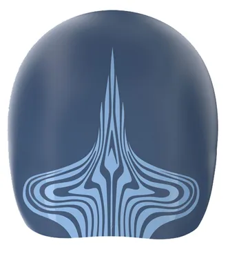 Image de Bonnet de bain Speedo Fastskin Bleu L Bleu L
