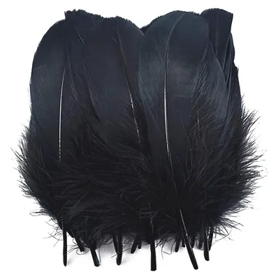 Produktbild von 200 Stück Federn Schwarz 8-12 cm Federn Schwarz Basteln Federn Schwarz Natürliche Federn Schwarz DIY Federn Schwarz für Halloween Fest Masken Kostüme Basteln Kinder