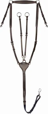 Obrázok produktu pre Zásobník na odpadky Waldhausen X-Line Professional