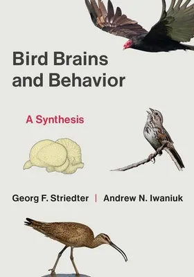 Immagine prodotto di Bird Brains and Behavior