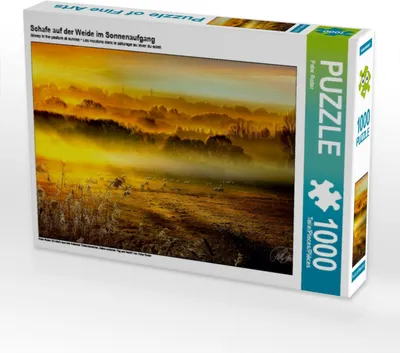 Produktbild von Calvendo Schafe auf der Weide im Sonnenaufgang 1000 Teile Puzzle quer 640x480mm, Roder Peter; 7413737