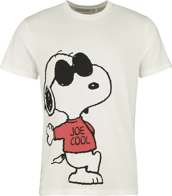 Produktbild von Peanuts T-Shirt Herren Snoopy multicolor 3XL