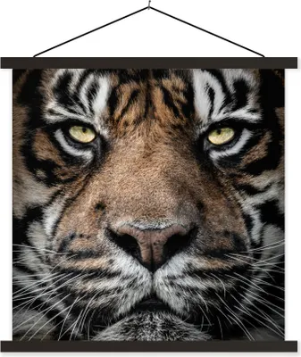 Produktbild von MuchoWow® Textilposter Porträt-Tiger auf schwarzem Hintergrund 60x60 cm mit schwarzem Rahmen - Posteraufhänger