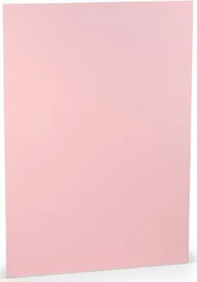 Produktbild von Briefpapier A4 100g/qm VE=10 Blatt Flamingo