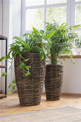 Image de 2 cache-pots en branches de coco, hauteur 45 + 55 cm, pot de fleurs, pot de plantes, pot de plantes pour l'intérieur & l'extérieur, balcon et décoration de jardin