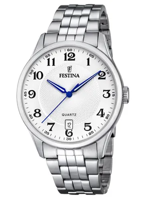 Obrázek produktu pro Pánské hodinky Festina F20425-1 stříbrné