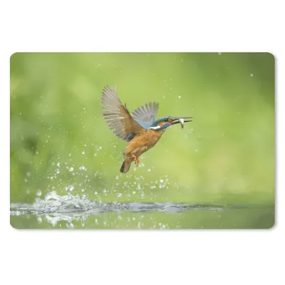 Produktbild von MuchoWow® Schreibtischunterlage Eisvogel - Fische - Tiere 60x40 cm - XXL Mauspad - Großes Mauspad