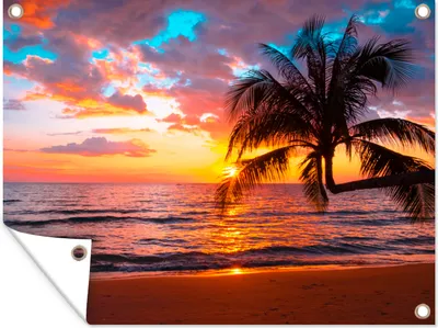Produktbild von MuchoWow® 120x90 cm Outdoor-Poster Gartendeko Sichtschutz Garten Poster für den Garten  Palme - Sonnenuntergang - Strand - Meer - Horizont