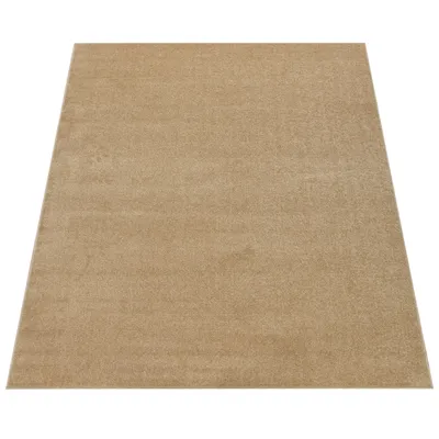 Image de Tapis pour salon, uni, à poils courts, sobre et moderne, beige doré, dimensions 80 x 150 cm