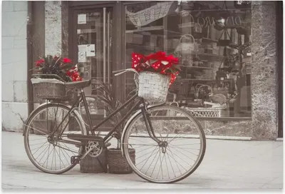 Obrázek produktu pro Nástěnná malba kolo s vánoční hvězdou, 40 x 60 cm
