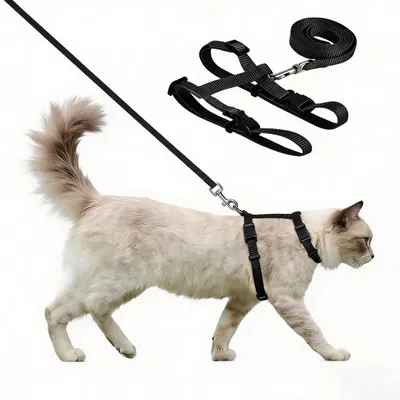 Image de Collier pour chat avec laisse, anti-évasion, réglable, léger, souple, noir, 120 cm