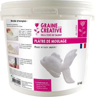 Image de Plâtre moulé 5 kg