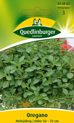 Produktbild von Quedlinburger Saatgut - Oregano - Samen - 494882