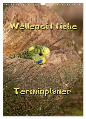 Produktbild von Wellensittiche Terminplaner (Wandkalender 2027 DIN A3 hoch), CALVENDO Monatskalender
