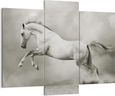 Produktbild von Bild auf Leinwand - Leinwandbild - Pferd Tier - 130x100cm - Wand Bild - Wanddeko - Wandbilder - Leinwanddruck - Bilder - Kunstdruck - Wanddekoration - Leinwand bilder - Wandkunst - CB130x100-3542