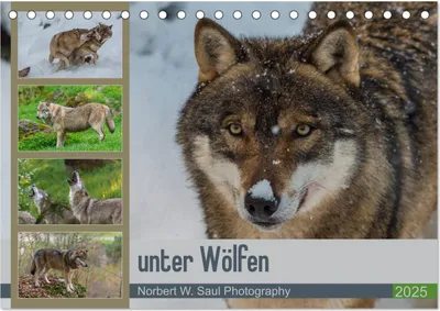 Produktbild von unter Wölfen (Tischkalender 2025 DIN A5 quer), CALVENDO Monatskalender