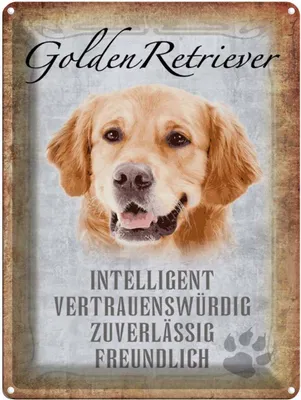 Produktbild von vianmo Blechschild 40x30 cm Golden Retriever Hund