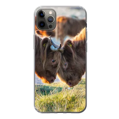 Produktbild von MuchoWow® Handyhülle Schutzhülle Hülle für iPhone 12 Pro Max Schottische Highlander - Tiere - Sonne Silikon Softcase Handy Hülle - Hartschale