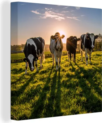 Produktbild von MuchoWow® - Leinwandbilder - Kuh - Gras - Sonne, Wandbild, Wanddeko Bilder Wohnzimmer, 90x90 cm