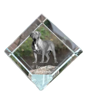 Produktbild von Art-Dog Briefbeschwerer Bordeauxdogge