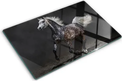 Obrázok produktu pre Sklenená ochranná doska – Kryt varnej dosky – Kryt na indukčnú dosku – 80x52 cm  – Rýchle čistenie – Tvrdené sklo – Arabský kôň