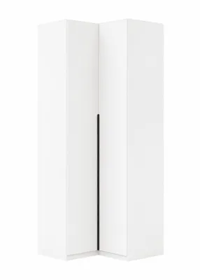 Zdjęcie produktu dla Szafa Riva narożna – 100 x 61 x 245 cm