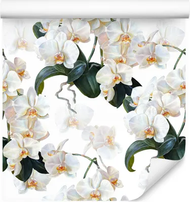 Produktbild von 10m VLIES TAPETE Rolle Orchideen Pflanzen Blätter Natur Flora Tropen XXL
