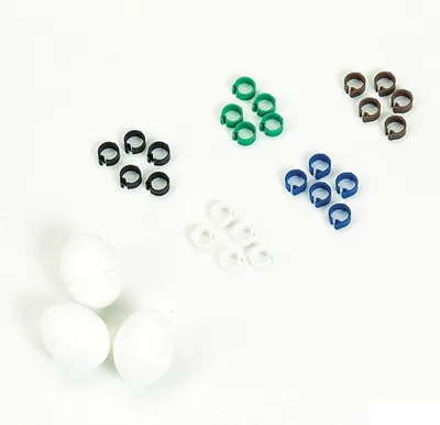 Image de Nobby Clipsringe für Tauben 50 Stück, 8,0 mm