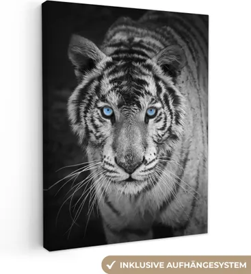 Obrázek produktu pro OneMillionCanvasses® - Plátna - Zvířata - Tygr - Černobílý - Oči - Modrá, nástěnné umění, nástěnné dekorace Obývací pokoj, 60x80cm