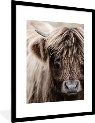 Produktbild von MuchoWow® Gerahmtes Poster Schottischer Highlander - Tier - Hoorn 60x80 cm - Poster mit Schwarzem Bilderrahmen Wandposter Rahmen Foto Bilder - Wohnzimmer - Dekorationen - Prämie