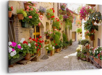 Produktbild von Bild auf Leinwand - Leinwandbild - Blume Straße Haus - 120x80cm - Wand Bild - Wanddeko - Wandbilder - Leinwanddruck - Bilder - Kunstdruck - Wanddekoration - Leinwand bilder - Wandkunst - AA120x80-3586